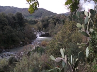 cantara gurne23122011 116